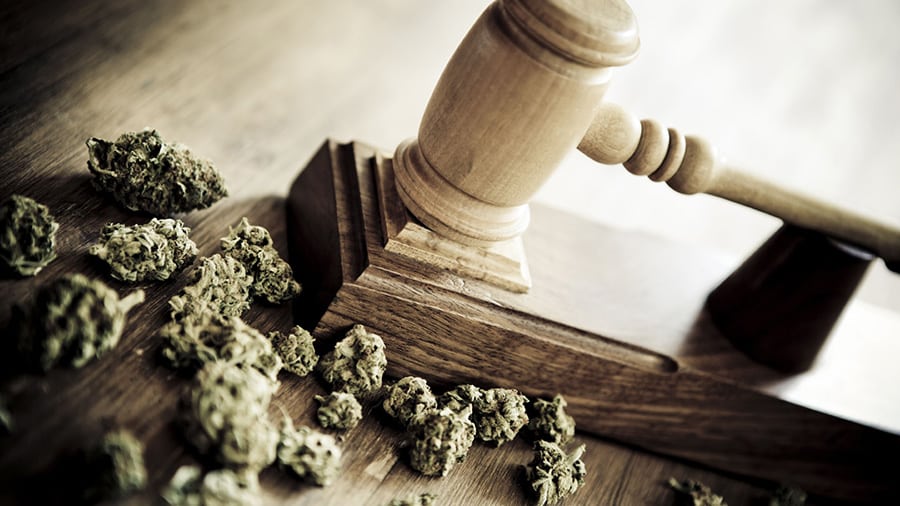 Bresil cannabis medical