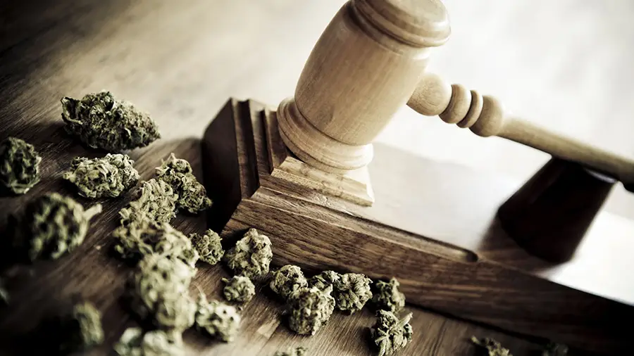 Bresil cannabis medical