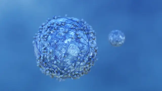 chimiotherapy