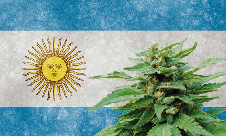 legal status cannabis argentina