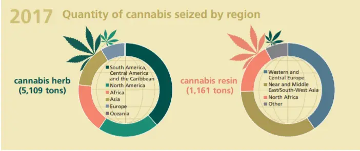 quantite par regions plantes cannabis