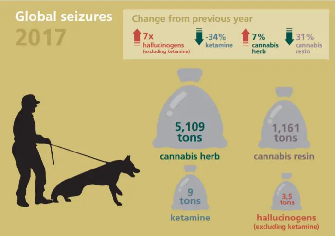 saisie globale plantes cannabis
