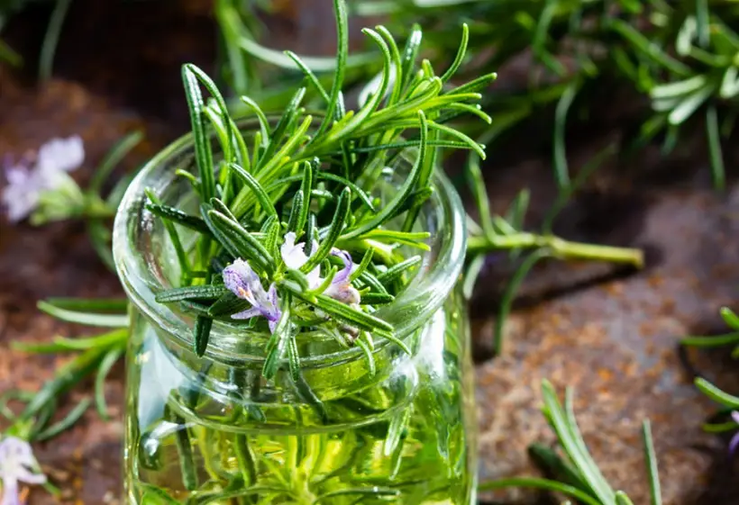 Rosemary