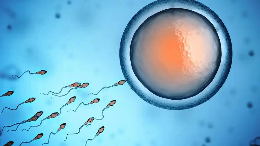 preservationfertilite aphp