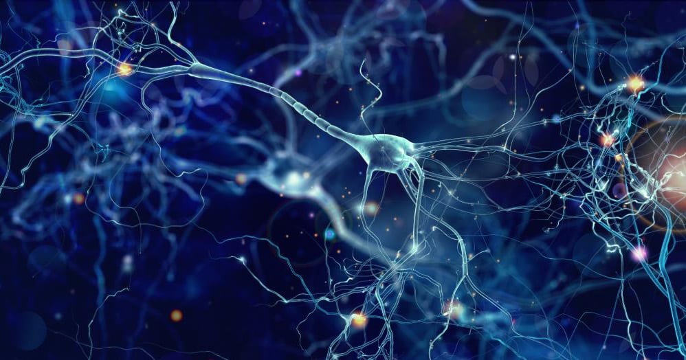 Neuron Neural Ai Network Brain Alzheimer Biology