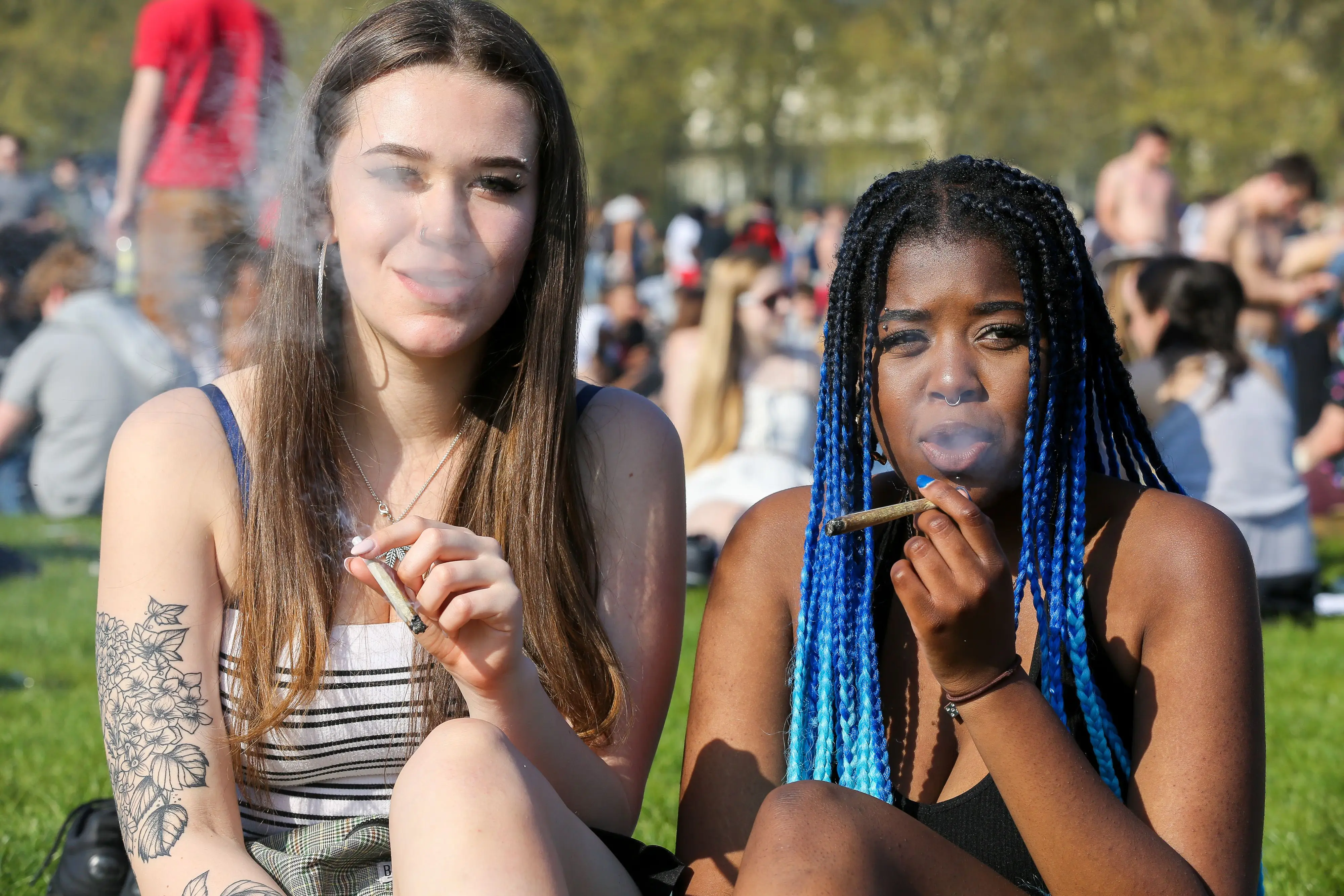 cannabco herbe sans odeur