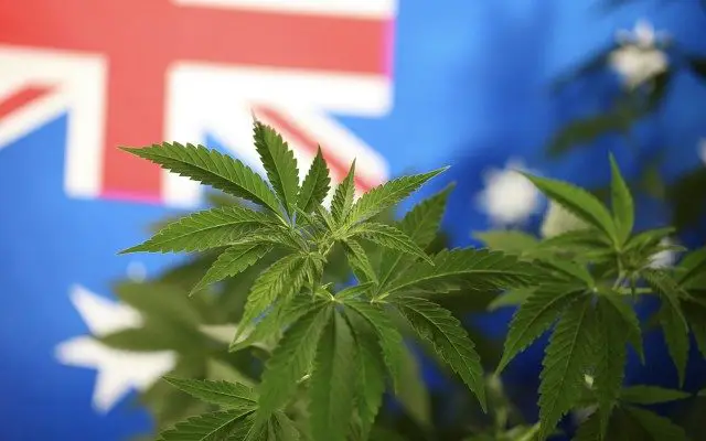 legalisation Australie