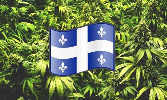 Quebec Pot Legislation 653x393