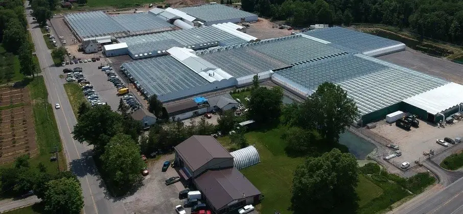 canntrust licence suspendu