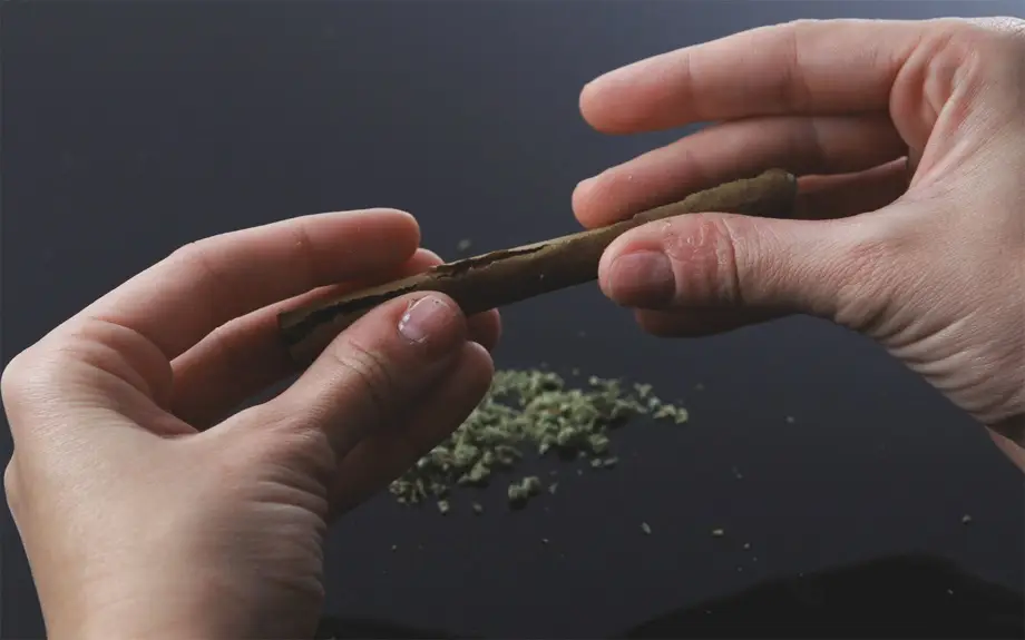 how to roll a blunt 1
