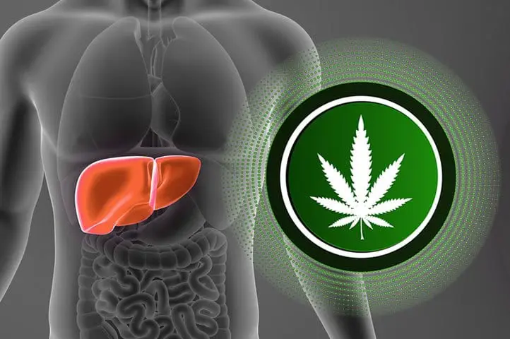 Cannabis Use Associated With Reduced Likelihood of Liver Cirrhosis Among Cannabis Use Associated With Reduced Likelihood of Liver Cirrhosis Among