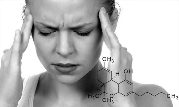 Cannabis and migraines