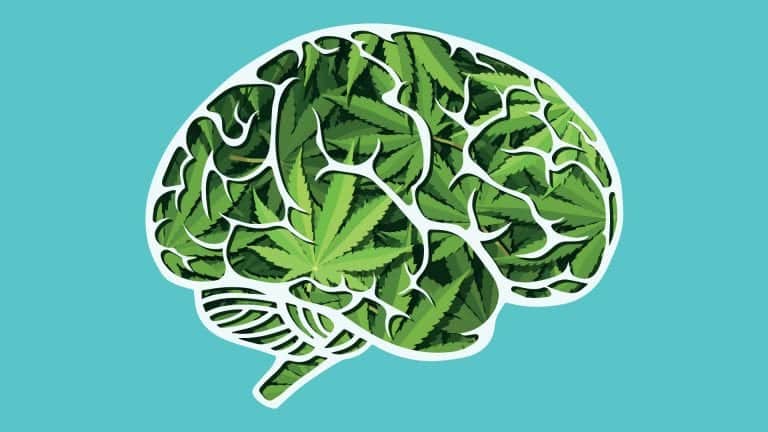 cannabis et psychose