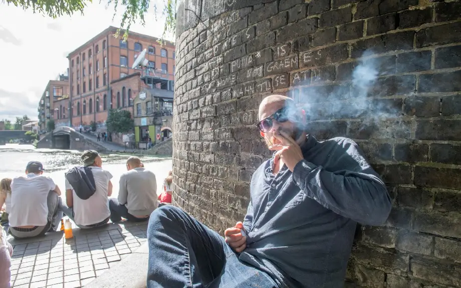 cannabis rue UK cannabis rue UK