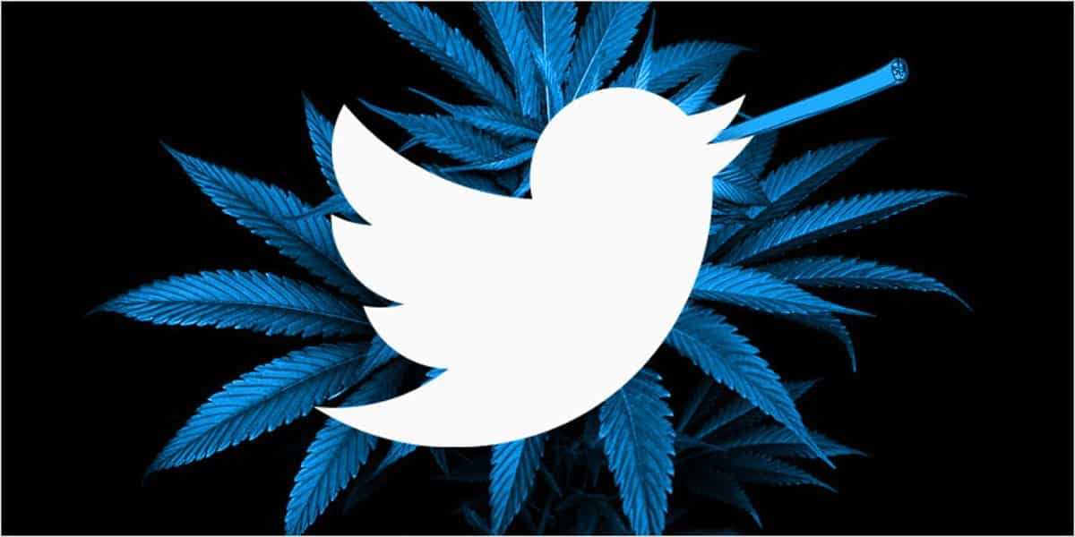 10 Cannabis Twitter hero