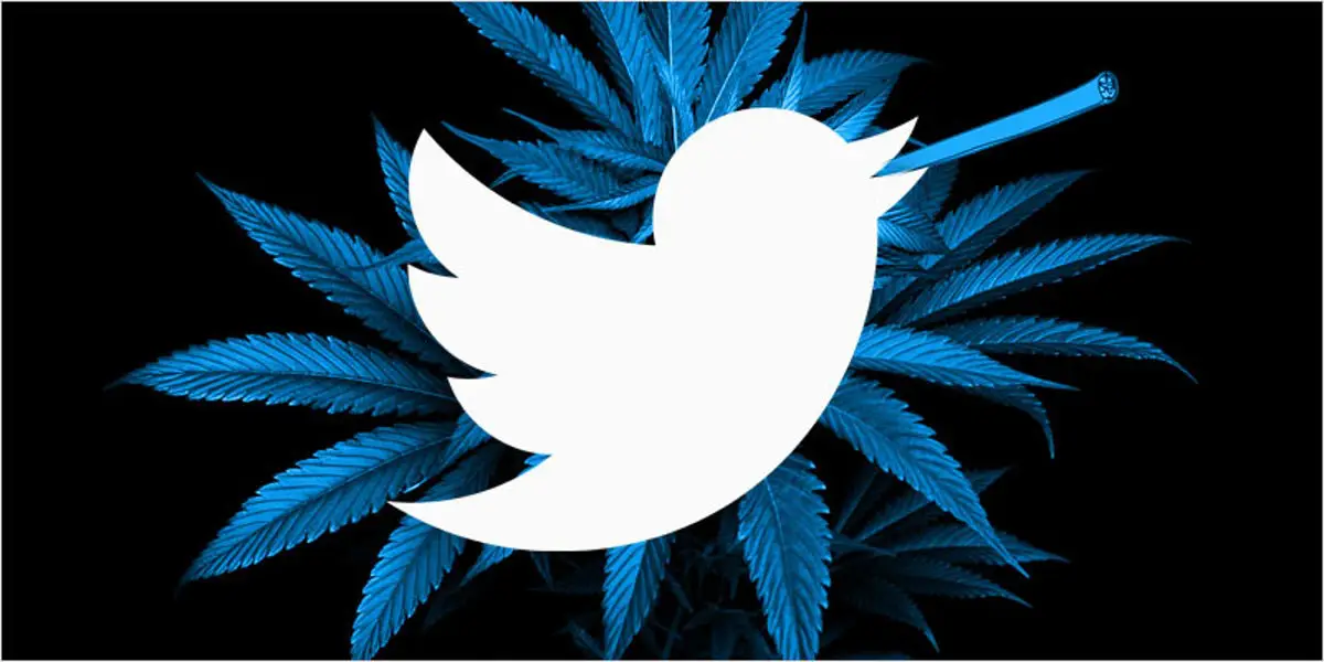 10 Cannabis Twitter hero