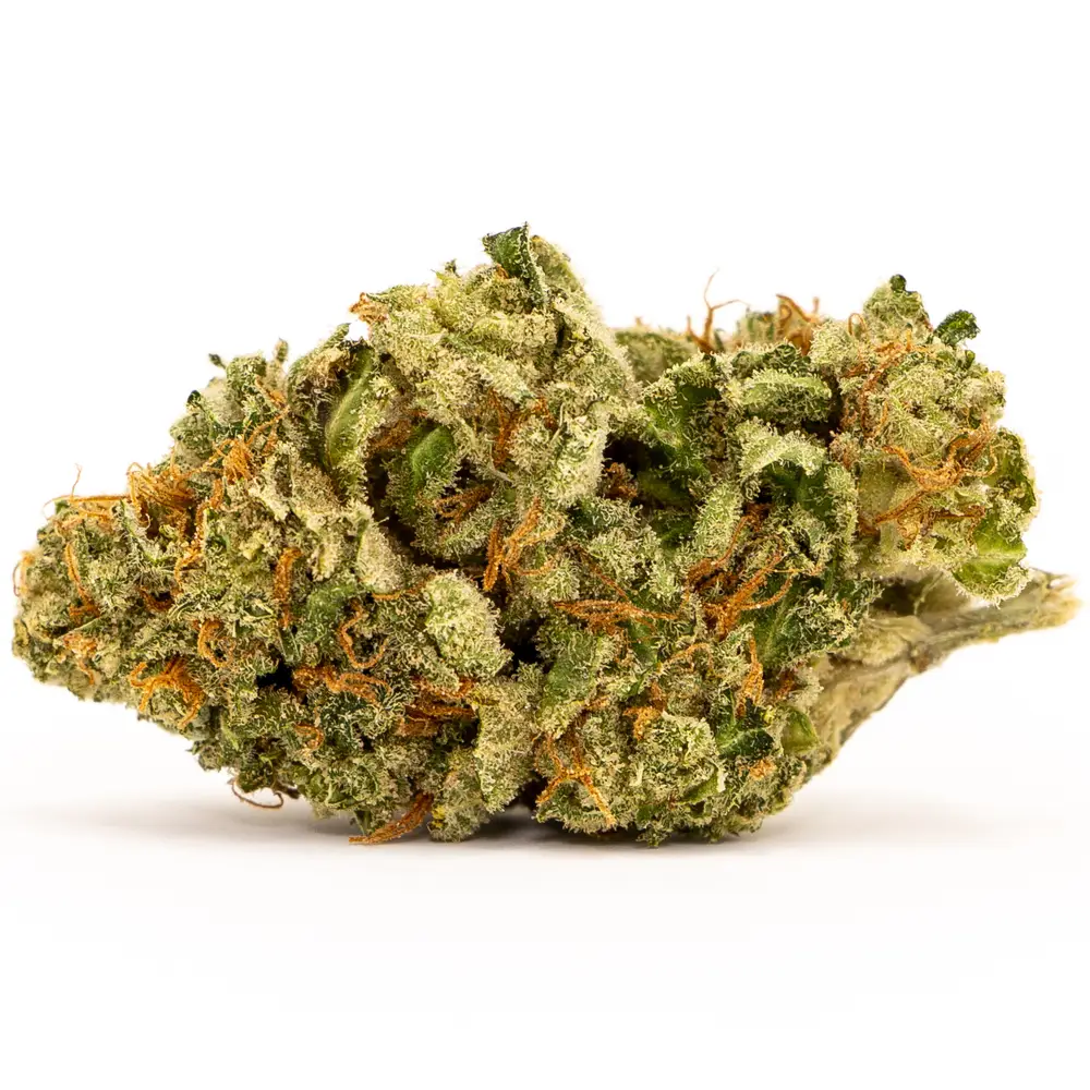 white widow