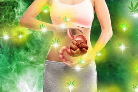 constipation et cannabis