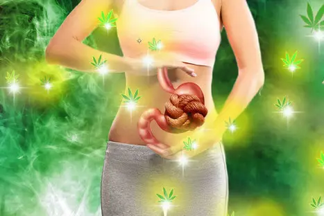 constipation et cannabis constipation et cannabis
