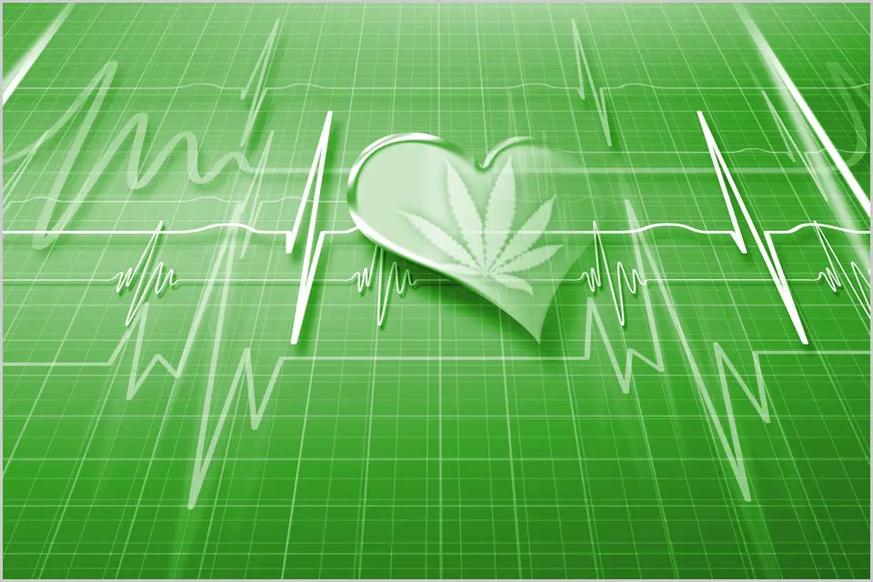 heart rate 2 heart rate 2