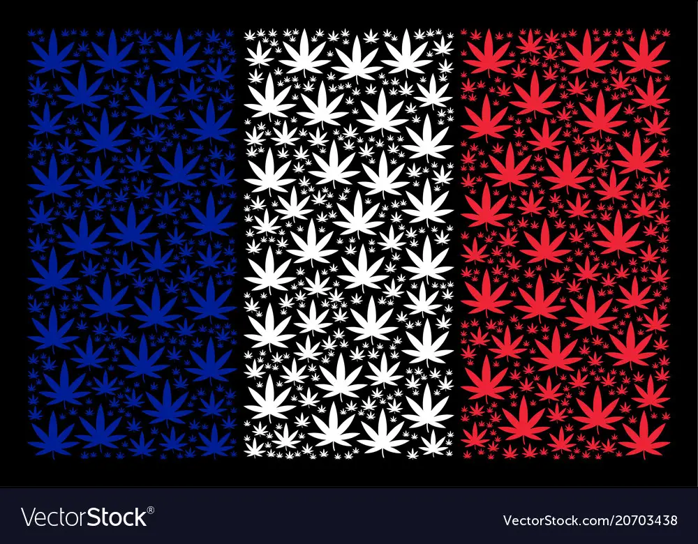 france drapeau cannabis france drapeau cannabis