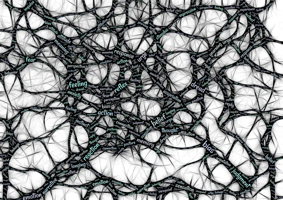 neuroscience et cannabis