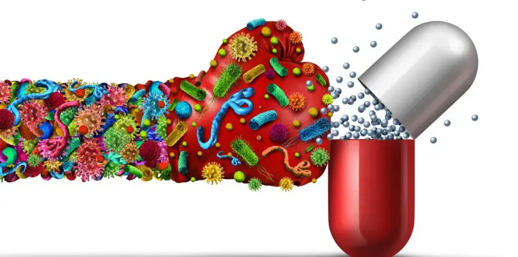 resistance aux antibiotiques la recherche contre attaque bacteries gram