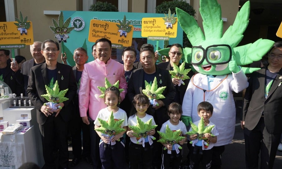 thailand cannabis ministre