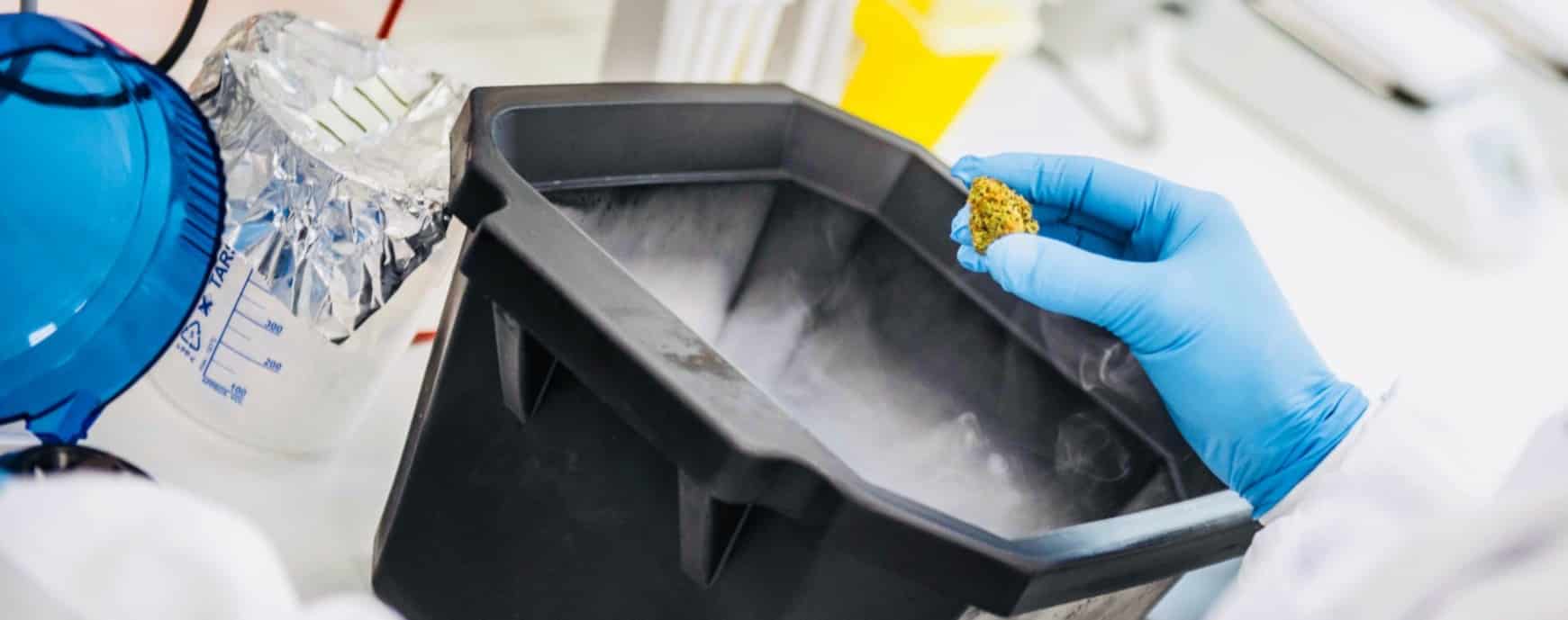 cannabics pharmaceuticals inc f 1