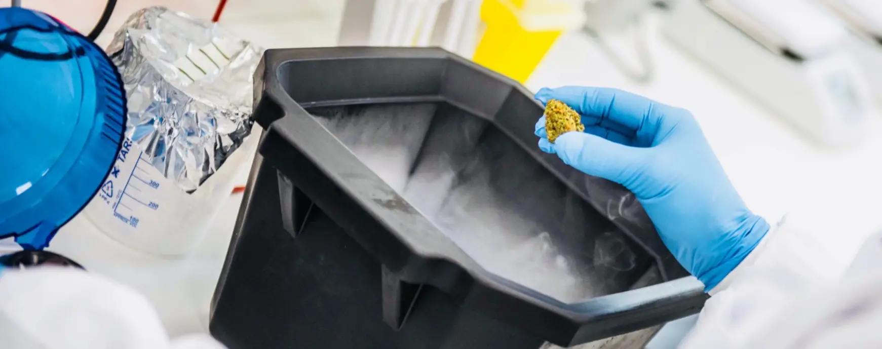 cannabics pharmaceuticals inc f 1 cannabics pharmaceuticals inc f 1