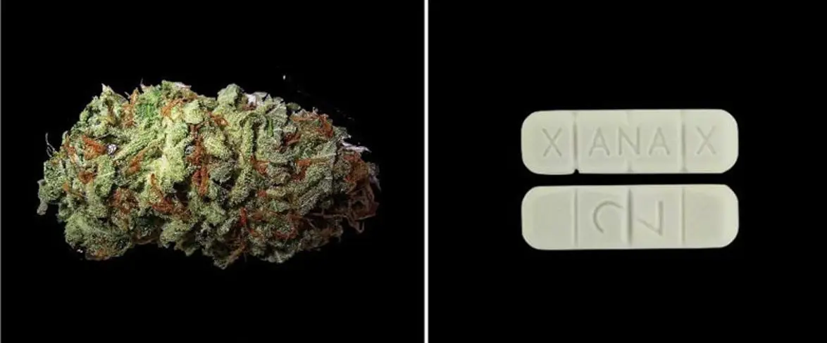 cannabis vs xanax