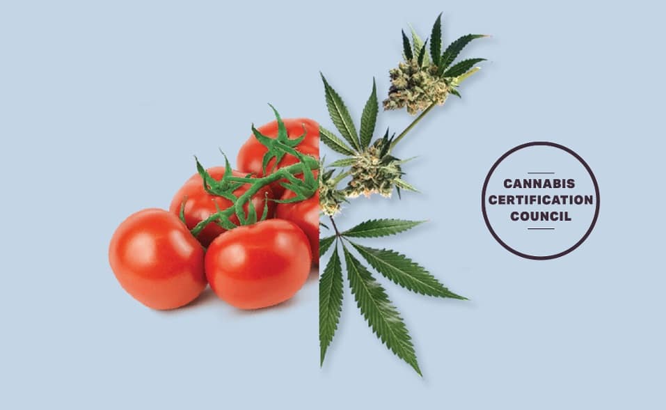 certification cannabis bio