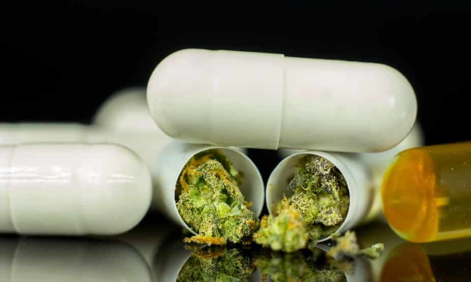 cannabis synthetique