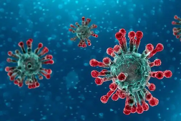 coronavirus 2 1