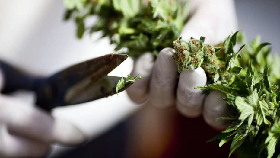 gettyimages 109913286   h 2017