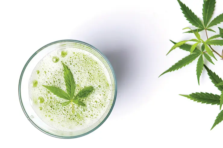 Cannabis alimentaire
