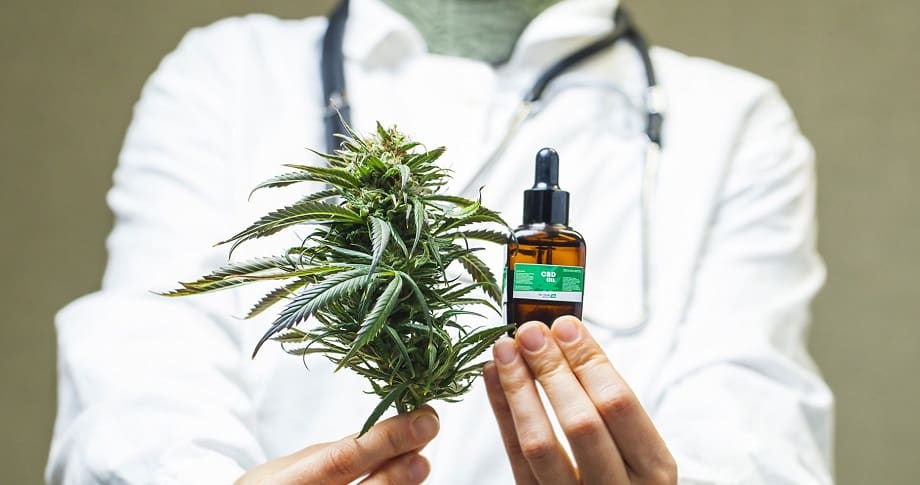 docteur en cannabis