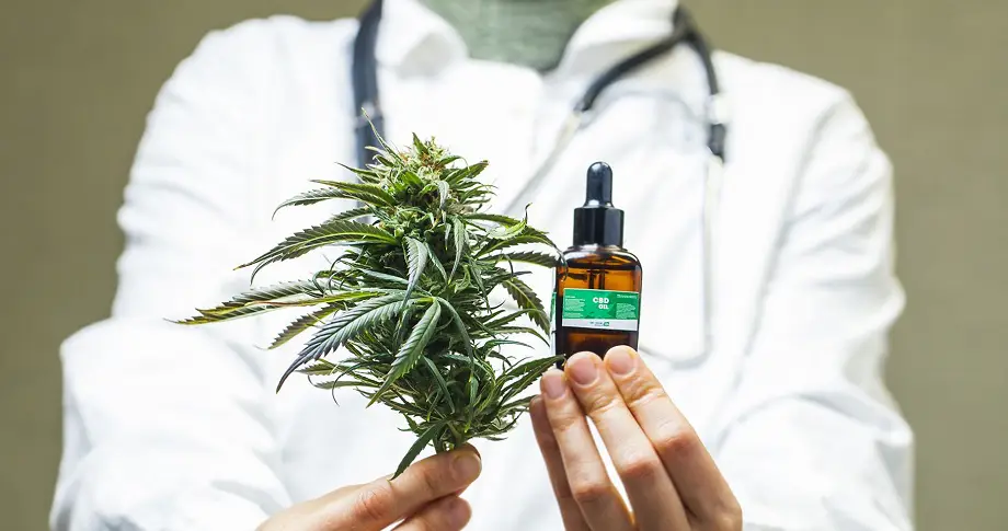 docteur en cannabis
