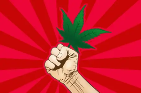 activismo cannabico