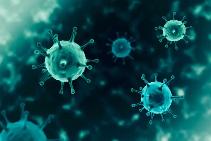 cannabis coronavirus
