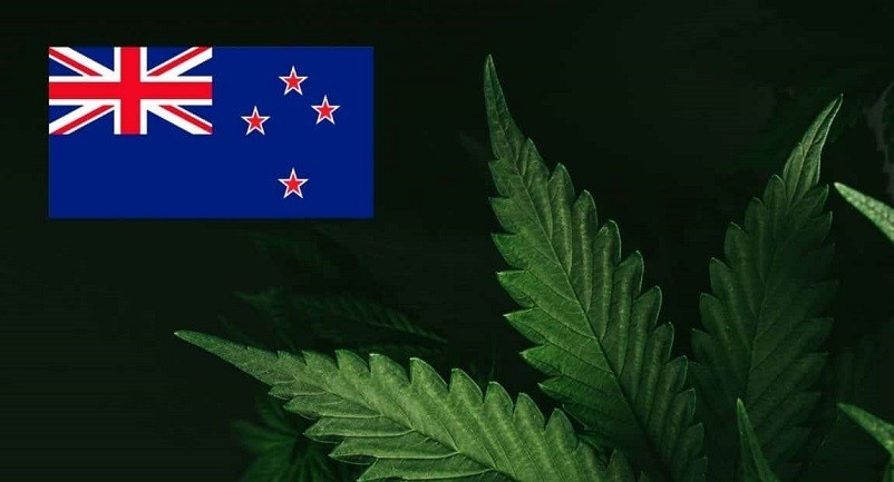 legalisation New Zealand cannabis