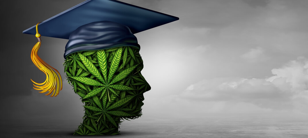 cannabis education