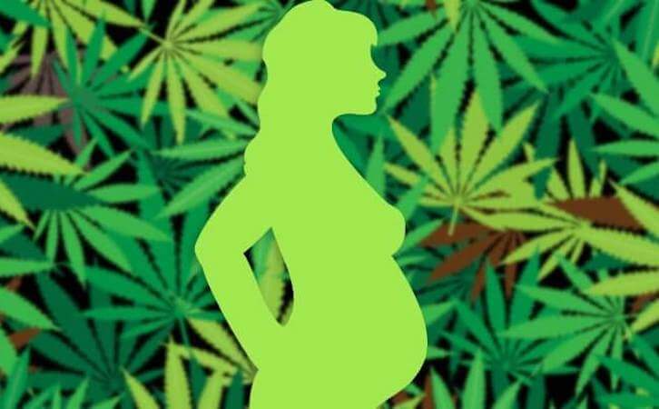 cannabis femme enceinte