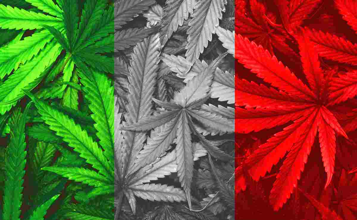 legalisation Italie cannabis