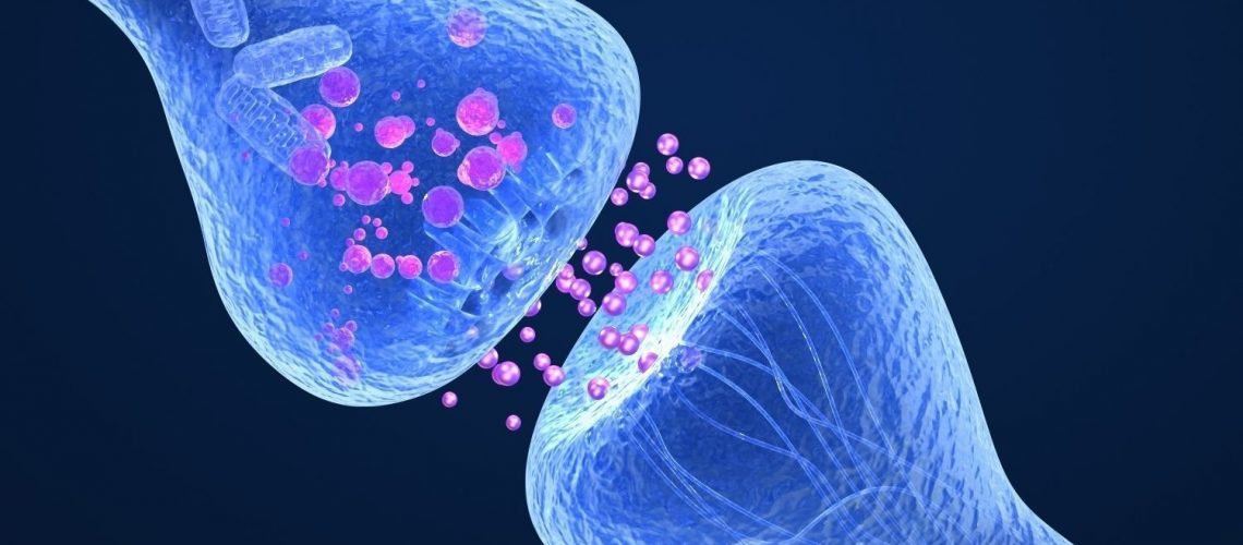 Endocannabinoid System