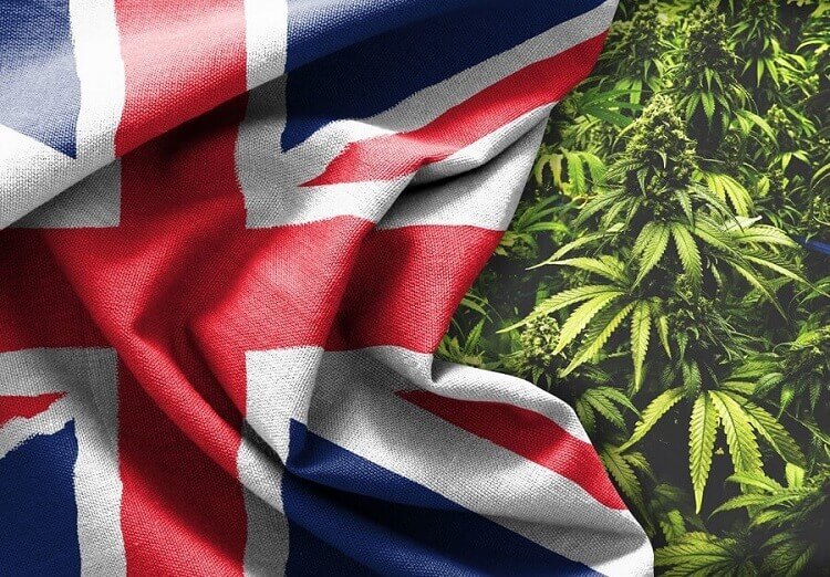 royaume uni cannabis medical 1