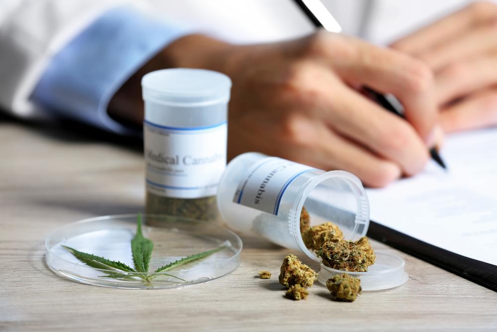 cannabis medical experimentation france