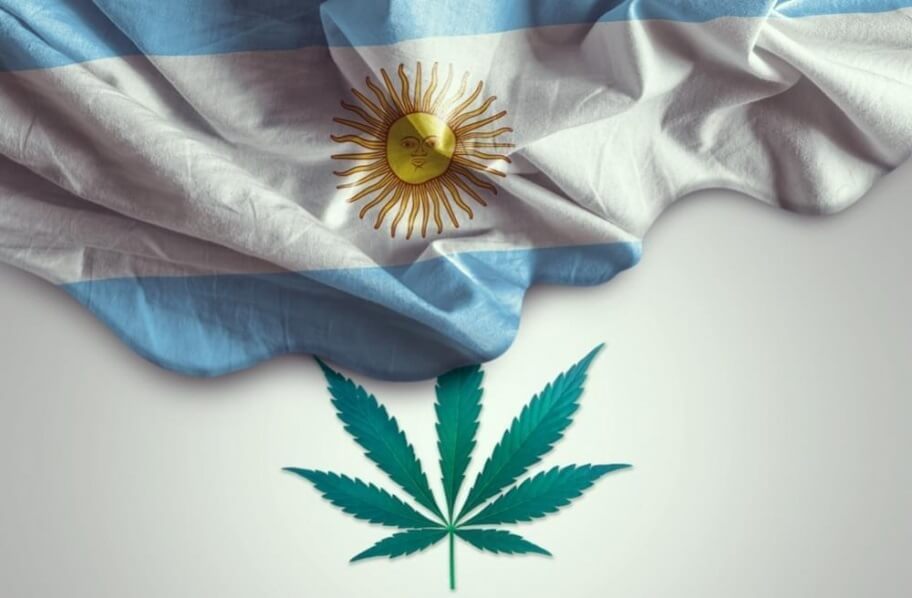 cultiver du cannabis en argentine