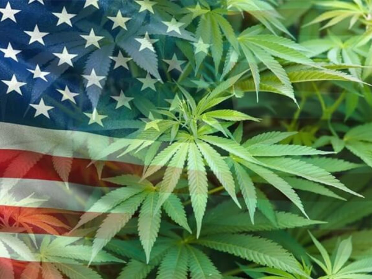 大麻大获全胜 3个国家批准合法化