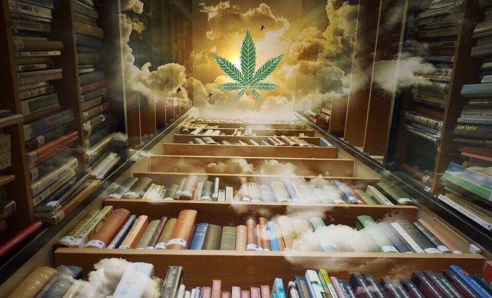 bilan 2020 etude cannabis